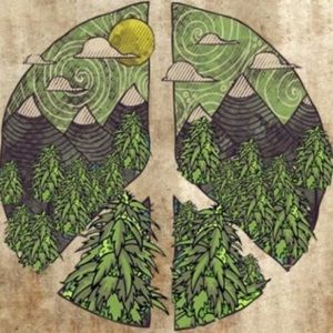 Meet your Posher, Ryann